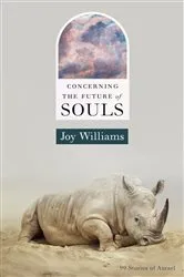 Book cover of Concerning the Future of Souls by Joy Williams