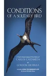 Book cover of Conditions of a Solitary Birds by Gordon Richiusa