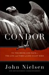 Book cover of Condor by James Grady