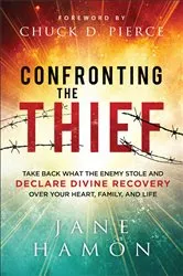 Book cover of Confronting the Thief by Jane Hamon