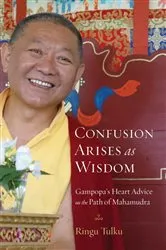 Book cover of Confusion Arises as Wisdom by Ringu Tulku