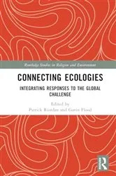 Book cover of Connecting Ecologies by Patrick Riordan