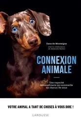 Book cover of Connexion animale by Ilana De Montaigne