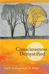 Book cover of Consciousness Demystified by Todd E. Feinberg