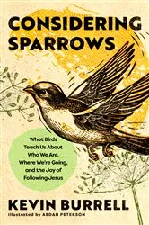 Book cover of Considering Sparrows by Kevin Burrell