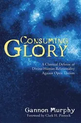 Book cover of Consuming Glory by Gannon Murphy