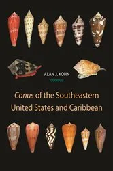 Book cover of Conus of the Southeastern United States and Caribbean by Alan J. Kohn