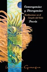 Book cover of Convergencias Y Divergencias by William Guaregua