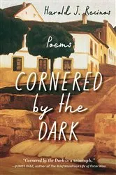Book cover of Cornered by the Dark by Harold J. Recinos