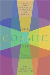 Book cover of Cosmic Web by Joy Andrews Hayter
