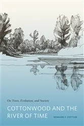 Book cover of Cottonwood and the River of Time by Reinhard F. Stettler