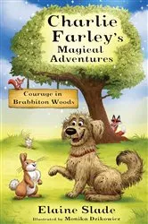 Book cover of Courage in Brabbiton Woods by Elaine Slade
