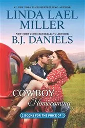 Book cover of Cowboy Homecoming by Louise M. Gouge