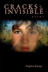 Book cover of Cracks in the Invisible by Stephen Kampa