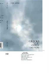 Book cover of Cracks You Open by Renee Pedigo