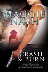 Book cover of Crash and Burn by Fern Michaels