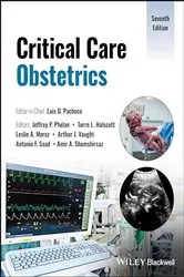Book cover of Critical Care Obstetrics (7th ed.) by Luis D. Pacheco