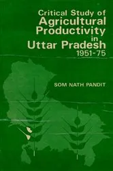 Book cover of Critical Study of Agricultural Productivity in Uttar Pradesh 1951-1975 by Unknown