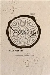 Book cover of Crosscut by Meg Gardiner