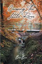Book cover of Crossing The Little River by BeeBee