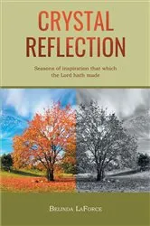 Book cover of Crystal Reflection by Belinda LaForce