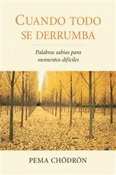 Book cover of Cuando todo se derrumba (When Things Fall Apart) by Pema Chodron