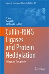 Book cover of Cullin-RING Ligases and Protein Neddylation by Yi Sun