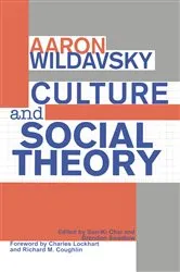 Book cover of Culture and Social Theory by Aaron Wildavsky