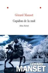 Book cover of Cupidon de la nuit by Gérard Manset