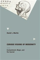 Book cover of Curious Visions of Modernity by David L. Martin