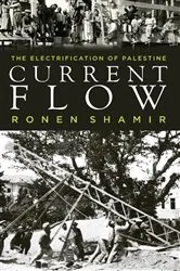 Book cover of Current Flow by Ronen Shamir