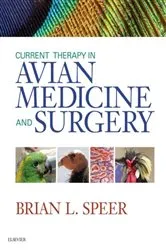Book cover of Current Therapy in Avian Medicine and Surgery - E-Book by Speer BS, DVM, Brian