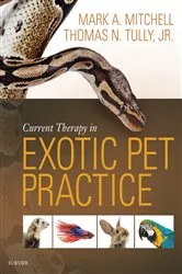 Book cover of Current Therapy in Exotic Pet Practice by Unknown