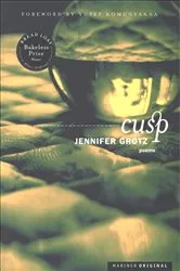Book cover of Cusp by Robert A. Metzger