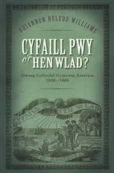 Book cover of Cyfaill Pwy o'r Hen Wlad? by Rhiannon Heledd Williams