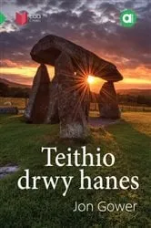 Book cover of Cyfres Amdani: Teithio drwy Hanes by N/A