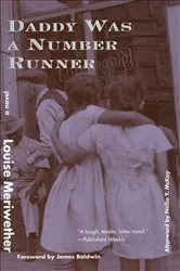 Book cover of Daddy Was a Number Runner by Louise Meriwether