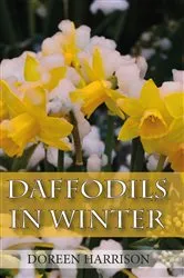 Book cover of Daffodils in Winter by Doreen Harrison