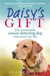 Book cover of Daisy’s Gift by Claire Guest
