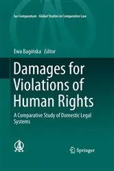 Book cover of Damages for Violations of Human Rights by Ewa Bagińska