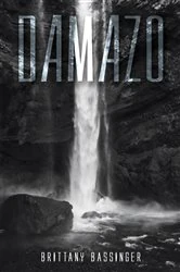 Book cover of Damazo by Brittany Bassinger