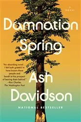 Book cover of Damnation Spring by Ash Davidson