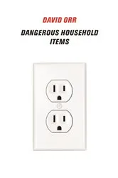 Book cover of Dangerous Household Items by David Orr