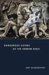 Book cover of Dangerous Sisters of the Hebrew Bible by Amy Kalmanofsky