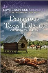 Book cover of Dangerous Texas Hideout by Virginia Vaughan