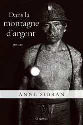Book cover of Dans la montagne d'argent by Anne Sibran