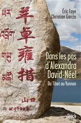 Book cover of Dans les pas d'Alexandra David Néel by Eric Faye