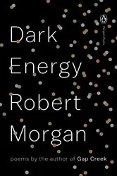 Book cover of Dark Energy by Robert Morgan