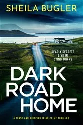 Book cover of Dark Road Home by Sheila Bugler