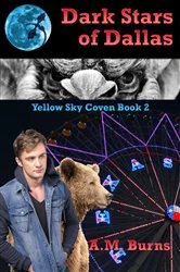 Book cover of Dark Stars of Dallas by A.M. Burns